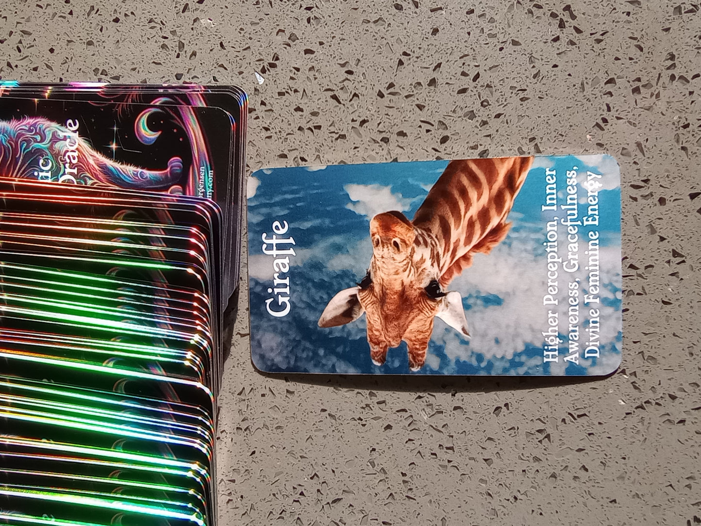 Cosmic Animal Oracle Deck🐈⬛