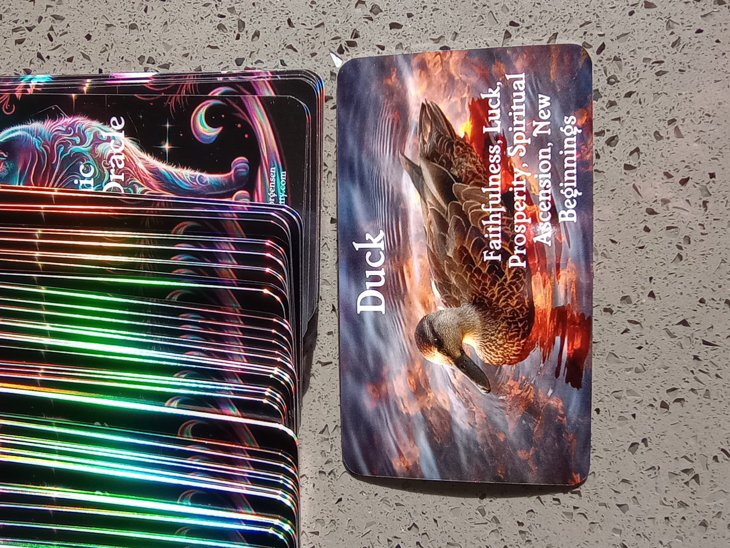 Cosmic Animal Oracle Deck🐈⬛