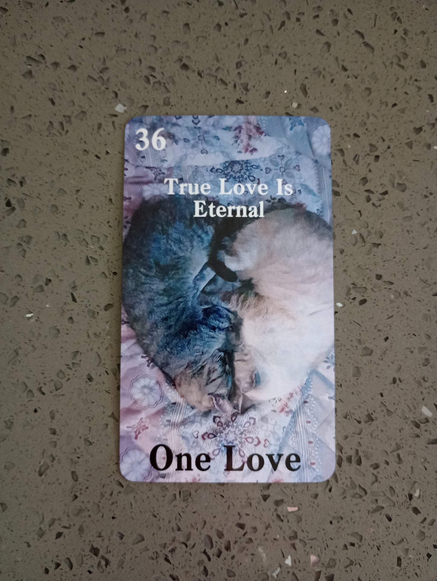 Cosmic Heart Oracle Deck💖