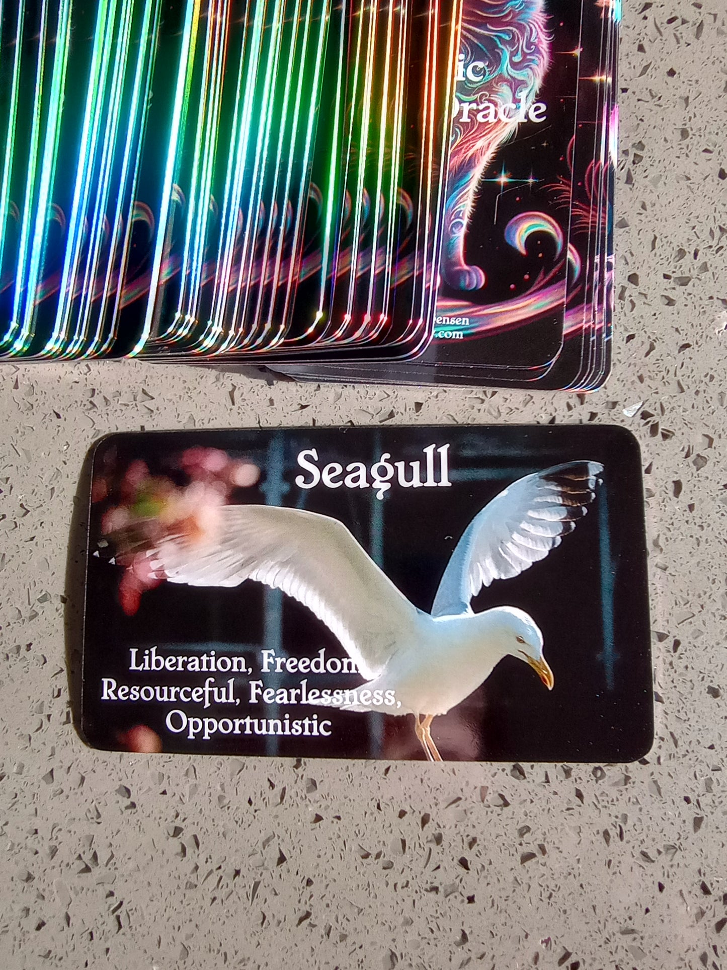 Cosmic Animal Oracle Deck🐈‍⬛