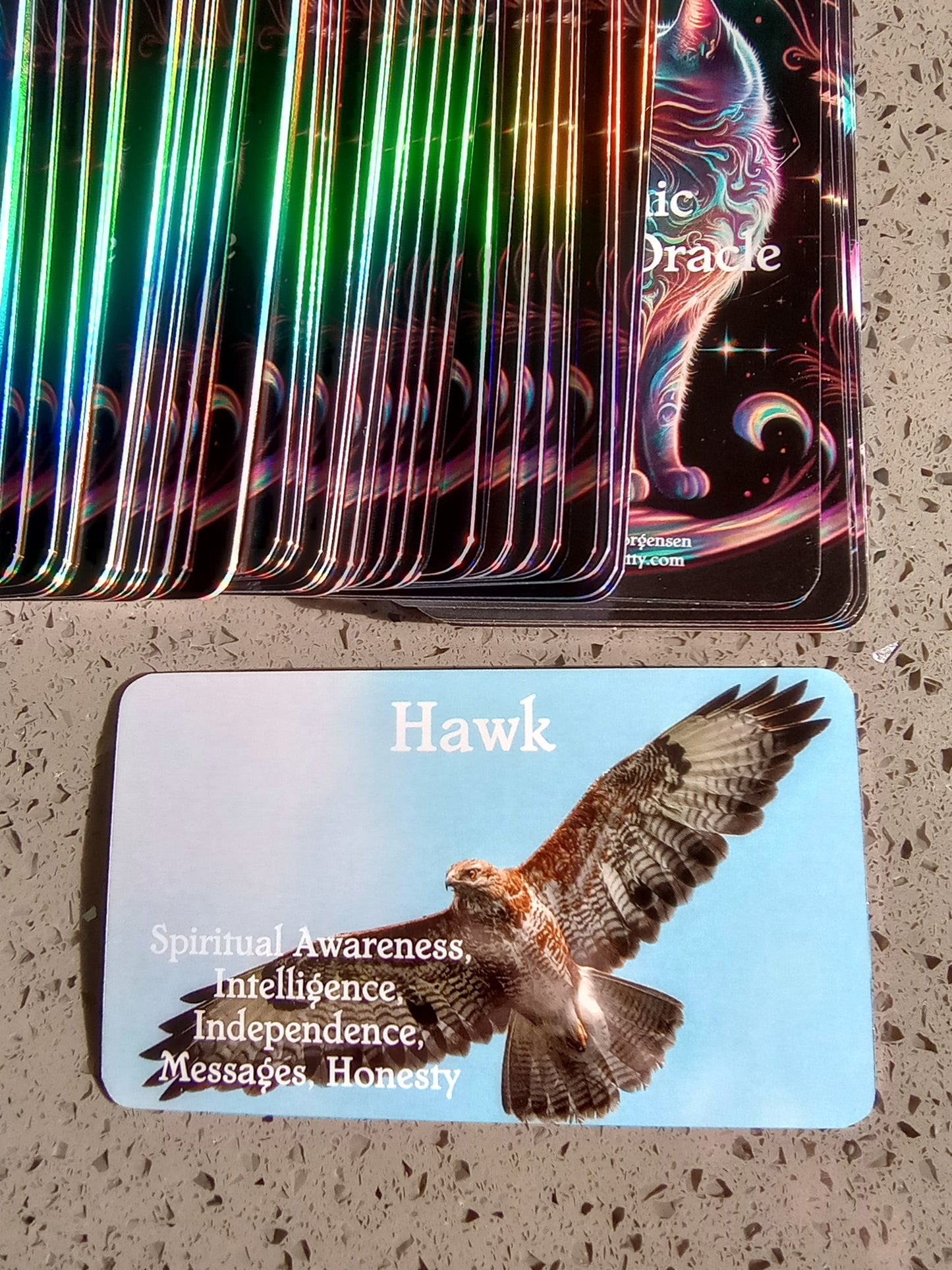 Cosmic Animal Oracle Deck🐈‍⬛